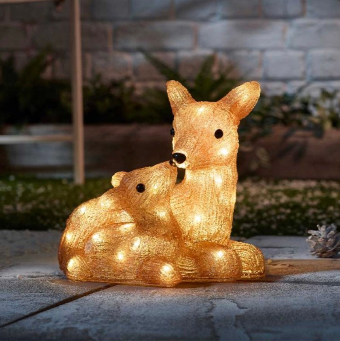 Inlit Ice Doe & Fawn