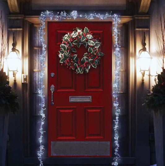 880 LED Door ClusterLights - Cool White